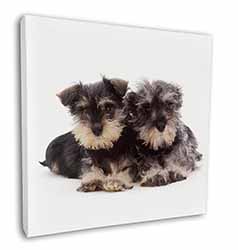 Miniature Schnauzer Dogs Square Canvas 12"x12" Wall Art Picture Print