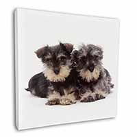 Miniature Schnauzer Dogs Square Canvas 12"x12" Wall Art Picture Print