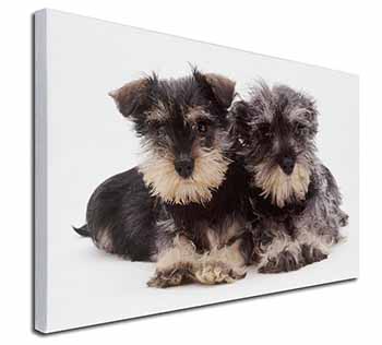 Miniature Schnauzer Dogs Canvas X-Large 30"x20" Wall Art Print