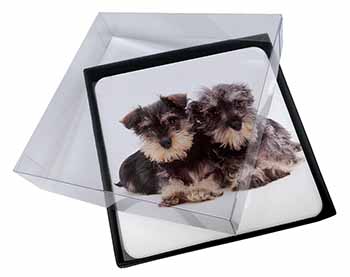 4x Miniature Schnauzer Dogs Picture Table Coasters Set in Gift Box