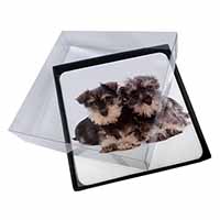 4x Miniature Schnauzer Dogs Picture Table Coasters Set in Gift Box