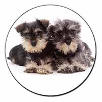 Miniature Schnauzer Dogs Fridge Magnet Printed Full Colour