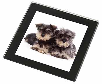 Miniature Schnauzer Dogs Black Rim High Quality Glass Coaster