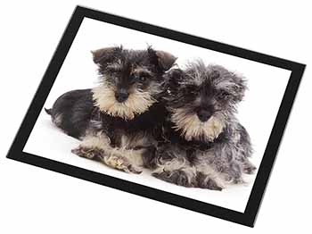 Miniature Schnauzer Dogs Black Rim High Quality Glass Placemat