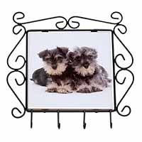 Miniature Schnauzer Dogs Wrought Iron Key Holder Hooks