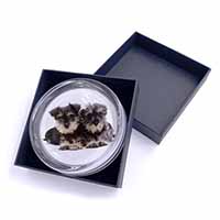 Miniature Schnauzer Dogs Glass Paperweight in Gift Box