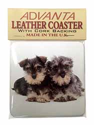 Miniature Schnauzer Dogs Single Leather Photo Coaster