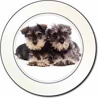 Miniature Schnauzer Dogs Car or Van Permit Holder/Tax Disc Holder