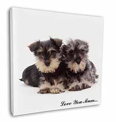 Schnauzers 