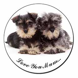 Schnauzers 