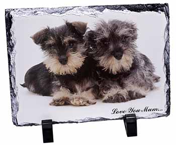 Schnauzers 