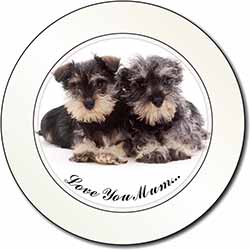 Schnauzers 