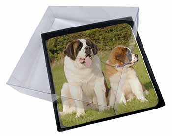4x St Bernard Dog and Puppy Picture Table Coasters Set in Gift Box
