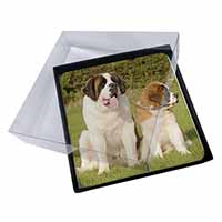 4x St Bernard Dog and Puppy Picture Table Coasters Set in Gift Box