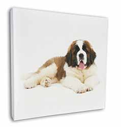 St Bernard Dog Square Canvas 12"x12" Wall Art Picture Print