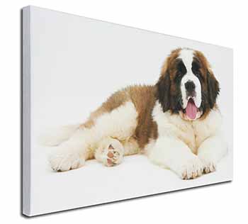St Bernard Dog Canvas X-Large 30"x20" Wall Art Print