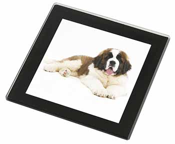 St Bernard Dog Black Rim High Quality Glass Coaster