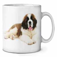 St Bernard Dog Ceramic Coffee Mug/Tea Cup
