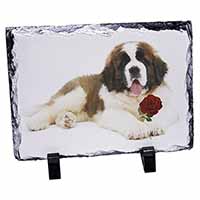 St. Bernard Dod with Red Rose, Stunning Photo Slate