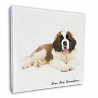 St. Bernard Dog 