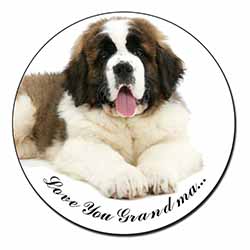 St. Bernard Dog 