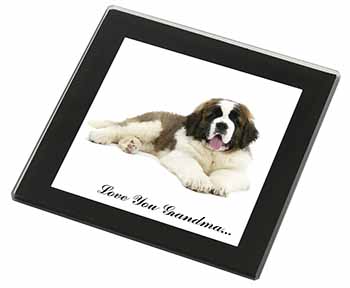 St. Bernard Dog 