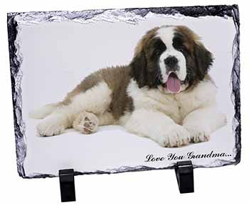 St. Bernard Dog 