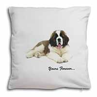 St Bernard Dog 