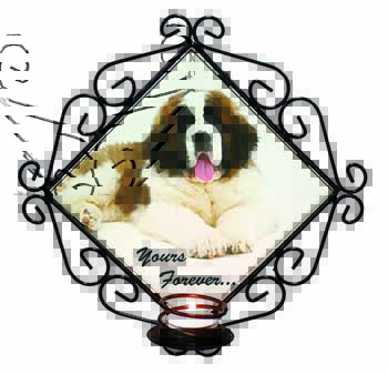 St Bernard Dog 