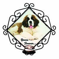 St Bernard Dog 