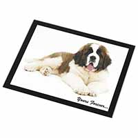 St Bernard Dog 