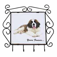 St Bernard Dog 