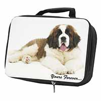 St Bernard Dog 