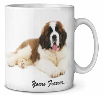 St Bernard Dog 