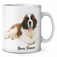 St Bernard Dog 