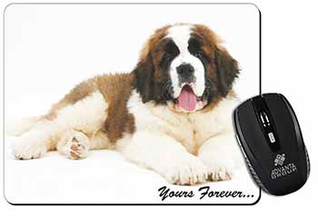 St Bernard Dog 