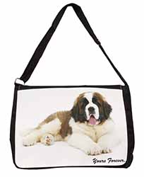 St Bernard Dog 