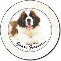 St Bernard Dog 