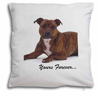 Staffordshire Bull Terrier 