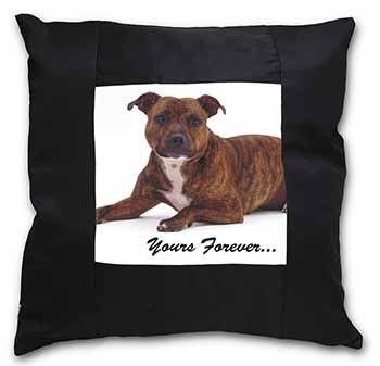 Staffordshire Bull Terrier 