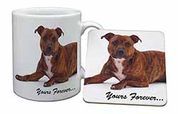 Staffordshire Bull Terrier 