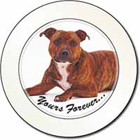 Staffordshire Bull Terrier 