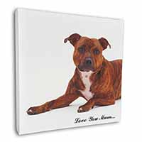 Staffordshire Bull Terrier 