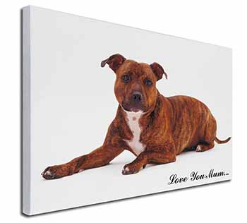 Staffordshire Bull Terrier 