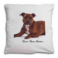 Staffordshire Bull Terrier 