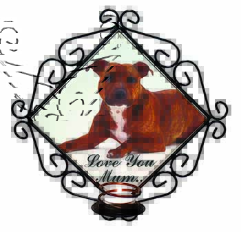 Staffordshire Bull Terrier 