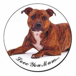 Staffordshire Bull Terrier 