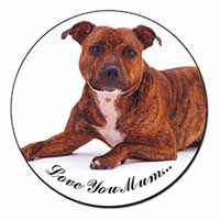 Staffordshire Bull Terrier 