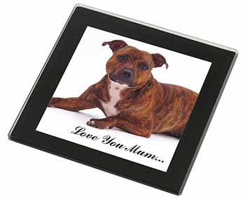 Staffordshire Bull Terrier 