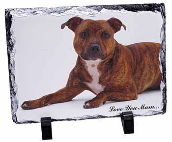 Staffordshire Bull Terrier 